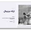 دانلود قالب پاورپوینت مینیمال حرفه‌ای برای ارائه‌های کسب‌وکار