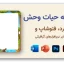 دانلود حاشیه کارتونی با طرح گل و گیاه و حیوانات برای ورد و فتوشاپ