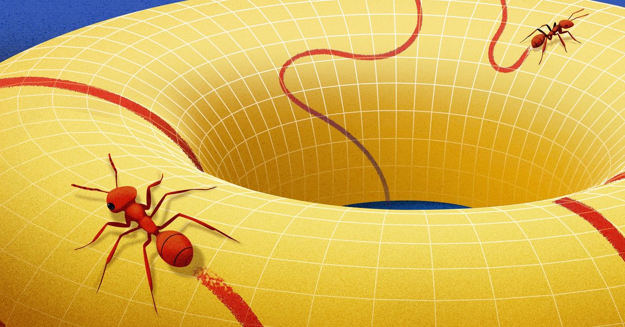 بنیان‌گذاری هندسه مدرن توسط برنهارد ریمان در قرن نوزدهم