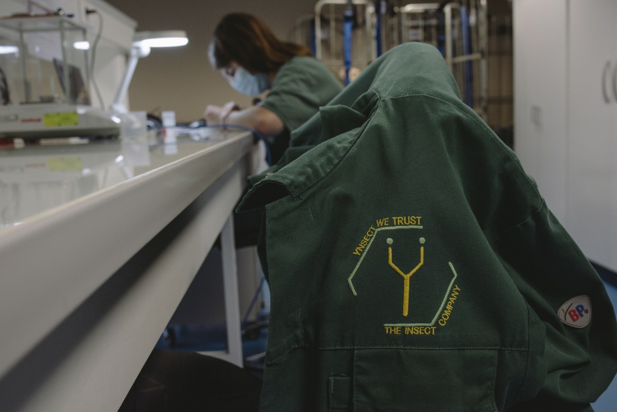 شرکت فرانسوی پرورش حشرات Ÿnsect به دلیل ورشکستگی منحل شد