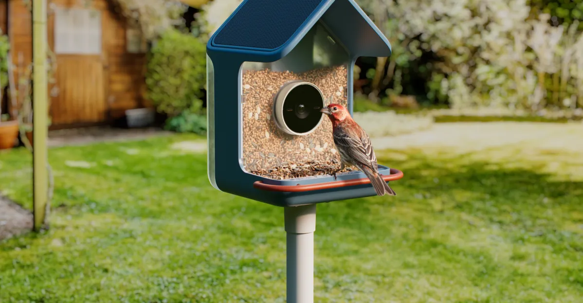 معرفی نسل جدید تغذیه‌کننده هوشمند پرندگان Birdbuddy 2 با دوربین 2K HDR