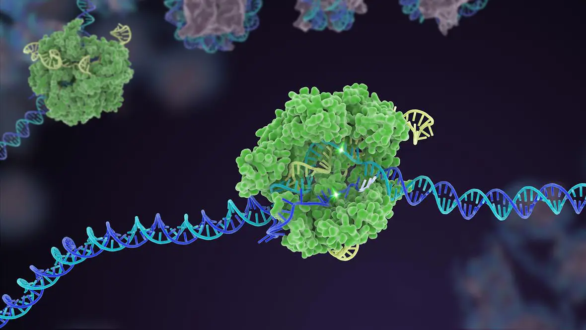 ابزار خودانتشار CRISPR با سه برابر کارایی بیشتر در ویرایش ژن‌ها
