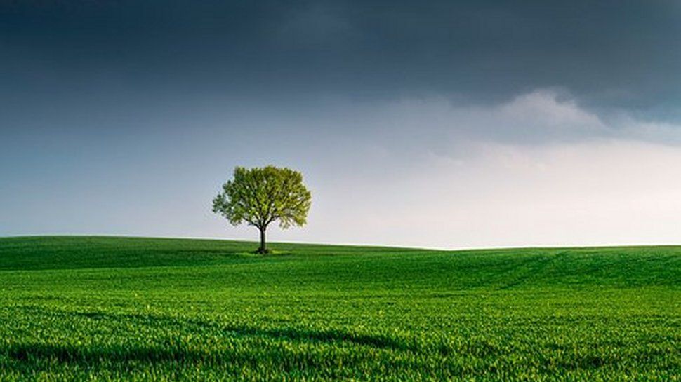 نقش هوش مصنوعی در تسریع پیشرفت‌های پایداری انرژی