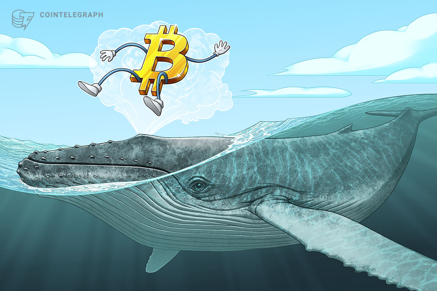 افزایش موجودی نهنگ‌های بیت‌کوین، اتریوم و XRP در دوره ضعف بازار